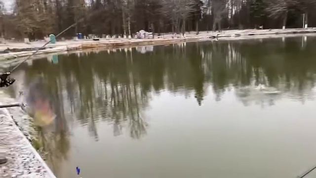 Форель. Ольгово. смотреть онлайн