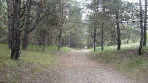 Сережка ольховая. ( Песня из фильма "И это все о нем" )