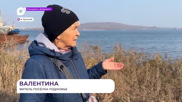 В живописной бухте Владивостока заметили нефтяные пятна на воде смотреть онлайн