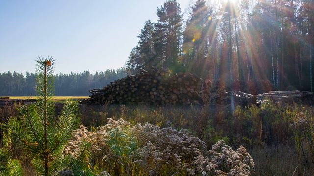 100-километровое соло за шаурмой | Черноголовка - Ногинск - Лосино-Петровск смотреть онлайн