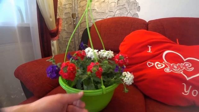 Защита объектива для камеры Sony FDR X3000R с сайта Aliexpress смотреть онлайн