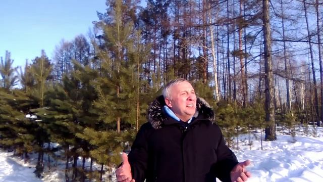 В. Высоцкий "Баллада о борьбе" смотреть онлайн