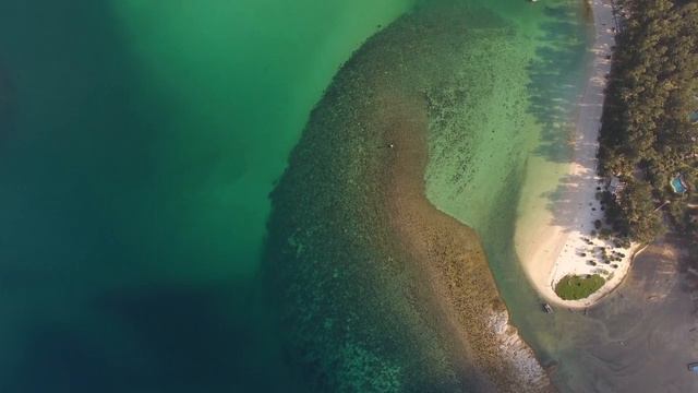 Пробуждение Мира | Борьба света и тьмы | Как пройти нелегкое время? смотреть онлайн