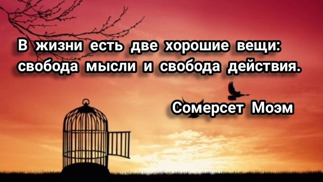 Поиск свободы - это основа человеческой природы / Понятие свободы / Цитаты о свободе смотреть онлайн