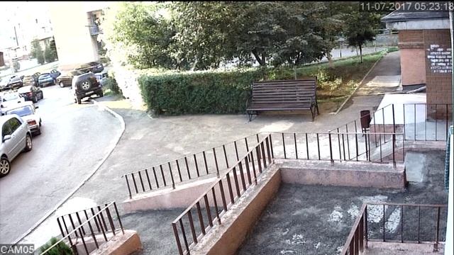 Полиция Азова Обзор Как ТСЖ отравило у старика кошку Багиру смотреть онлайн