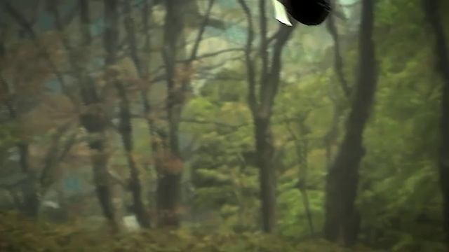 Blender Grenade.BETA смотреть онлайн