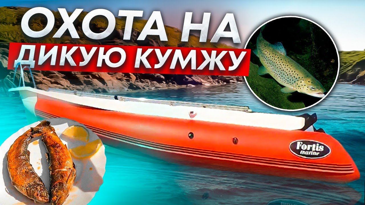 #fortis 460z Охота на дикую Кумжу смотреть онлайн
