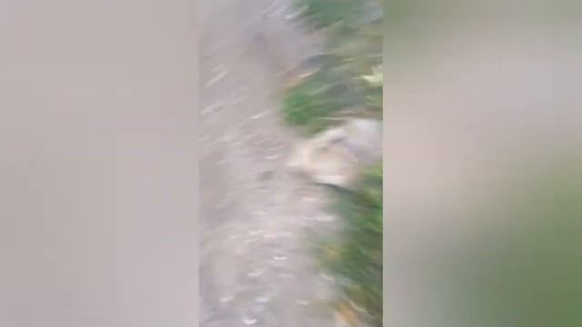 Сборка меди.VLOG:1