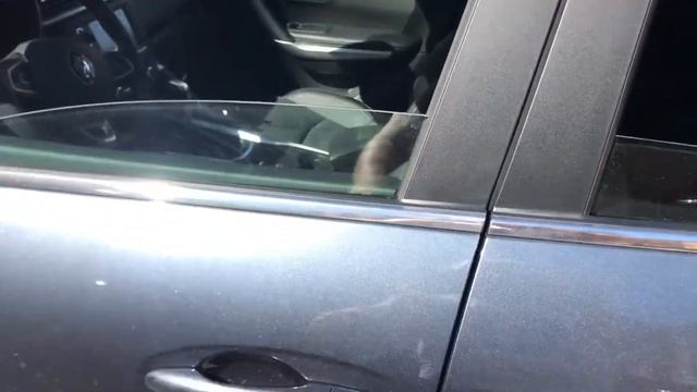Renault Kadjar. Automatic windows closing смотреть онлайн