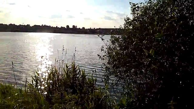 Бисерово, 25.6.16 смотреть онлайн