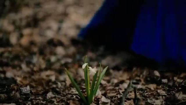 Моментальное фото смотреть онлайн