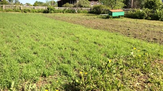 Металлокоп на хуторе у Крюгера ! смотреть онлайн
