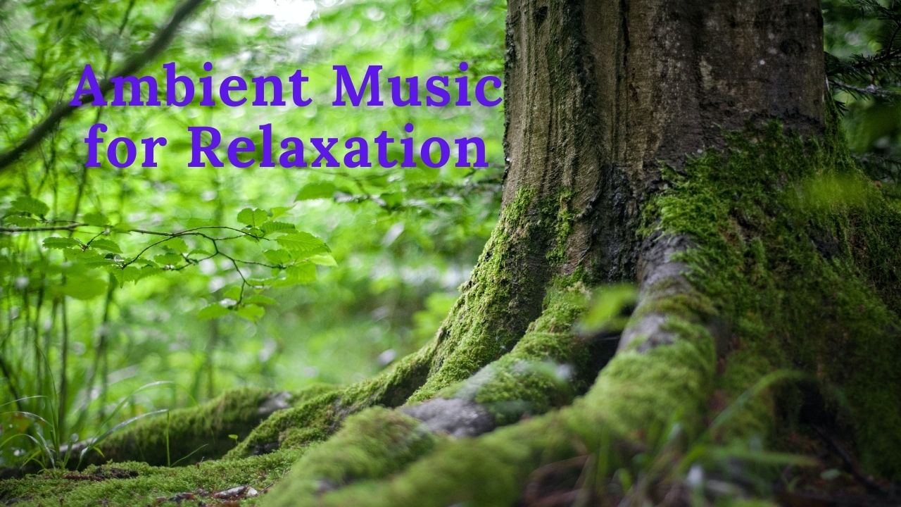 Beautiful Music for Relaxation & Meditation смотреть онлайн