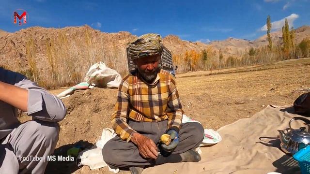 خرید چندین تُن کچالو از مالستان زیبا برای زمستان? смотреть онлайн