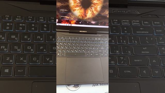 MECHREVO 11708, RYZEN 9 5900Hx + RTX3070/16gb DDR4/256gb SSD + 1Tb ( или 512gb)/17.3” 165 герц 2.5К смотреть онлайн