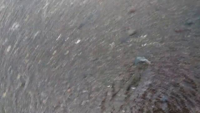 Ловим корюшку РУКАМИ. Рыбу выбрасывает волной. Сахалин рыбалка. смотреть онлайн