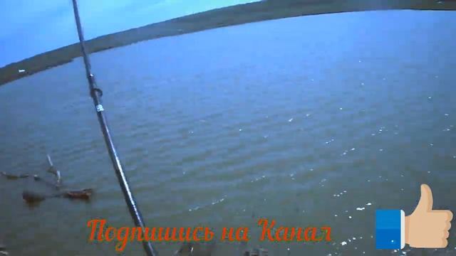 #Карповая_Рыбалка#на_платнике#2019#Ставропольский Край смотреть онлайн