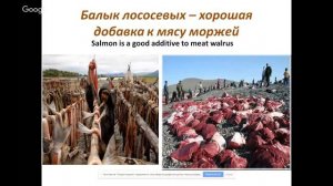 Население Камчатки