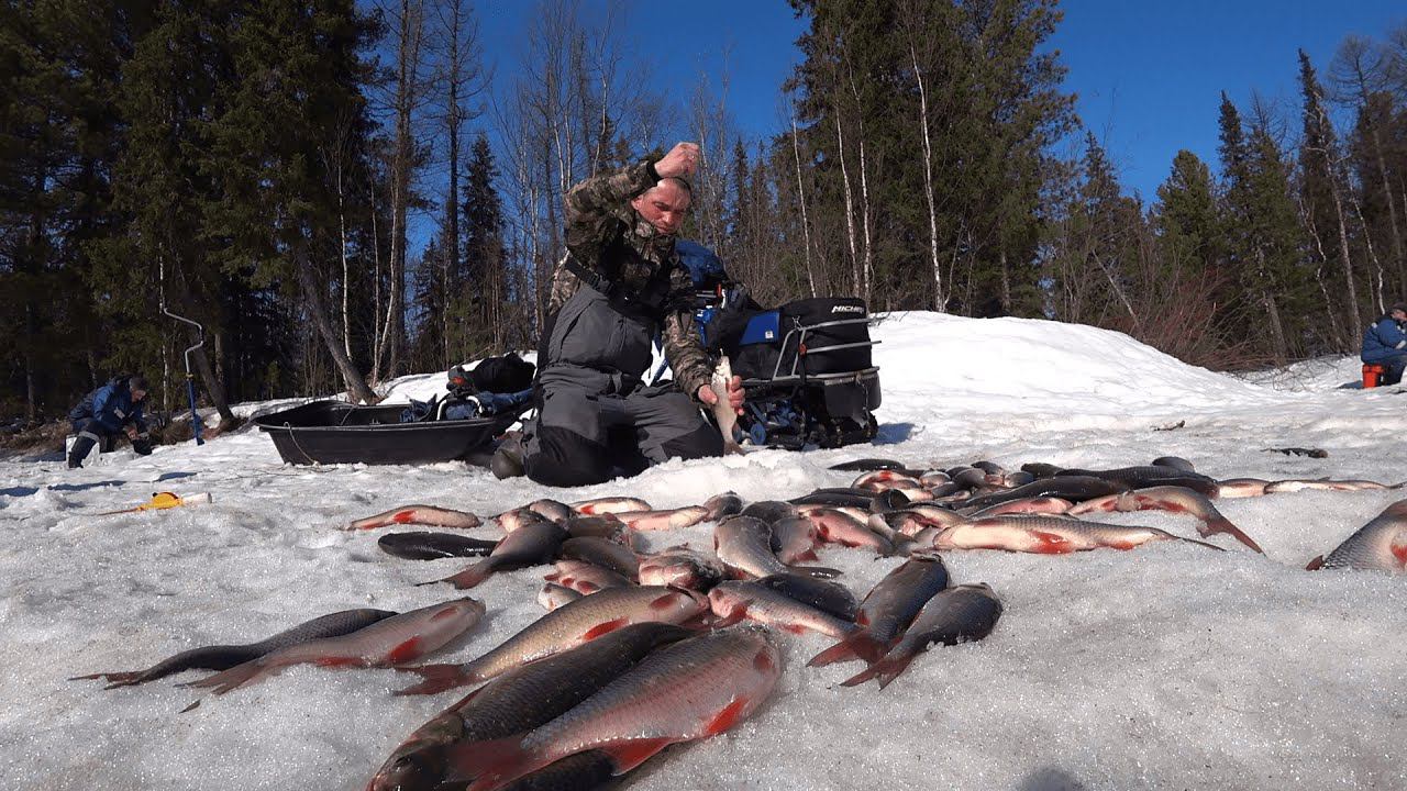 МЫ ЕЕ НЕ ЛОВИМ,ПРОСТО ДОСТАЕМ.МОРМЫШКА НЕ УСПЕВАЕТ КОСНУТЬСЯ ДНА.ЗИМНЯЯ РЫБАЛКА В АПРЕЛЕ. смотреть онлайн
