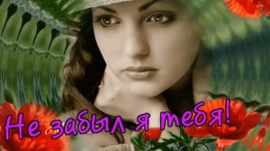 Евгений Полянский - Не забыл я тебя!