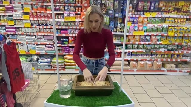 Тестируем древесный наполнитель КОТУ смотреть онлайн