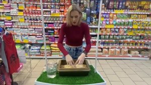 Тестируем древесный наполнитель КОТУ