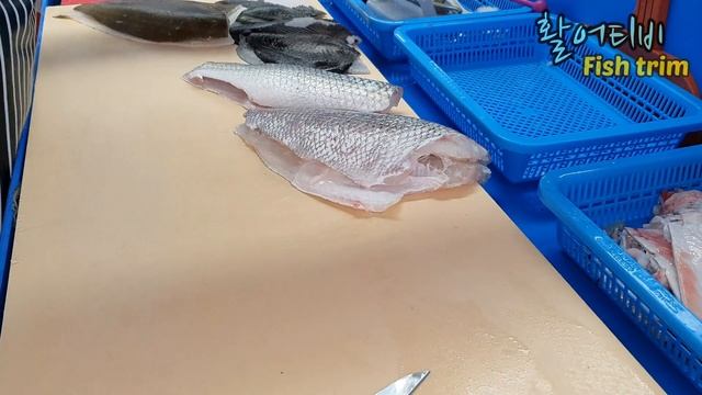 연어 광어 참돔 강도다리 참숭어 , 모듬회 , Assorted Sliced Raw Fish смотреть онлайн