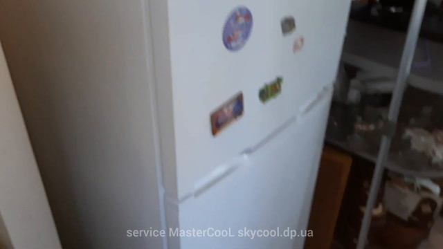 Новый холодильник Snaige выводы делайте сами. смотреть онлайн