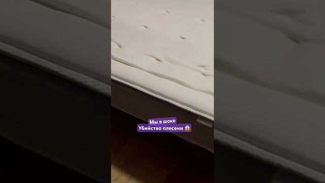 Чистка матраса от плесени Юниворс #чисткаматраса #симферополь #ялта #евпатория #севастополь смотреть онлайн