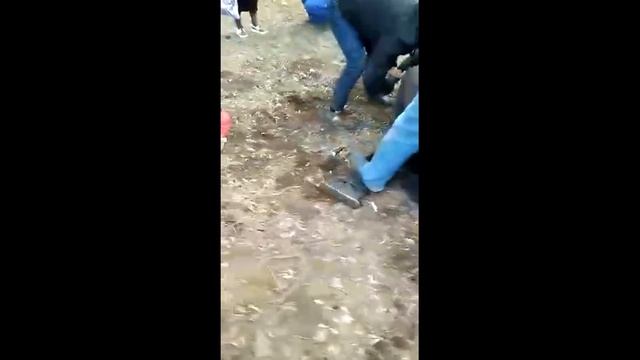 Москвада такыр баштар Кыргыз жаранын бычакташты!!! смотреть онлайн