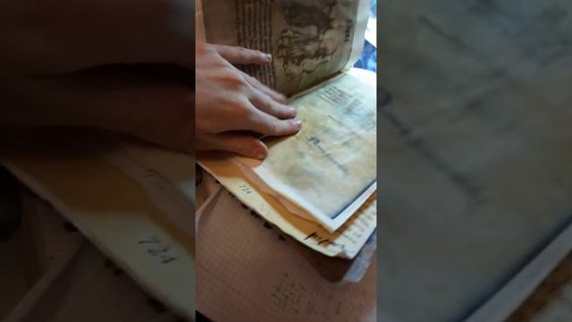 Чудовищная книга о чудовищах из Гарри Поттера (обзор) смотреть онлайн