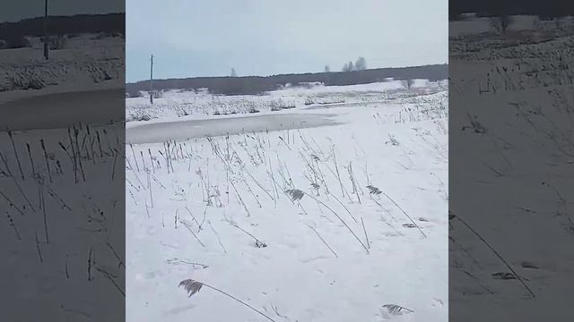 Вездеход Тритон! смотреть онлайн