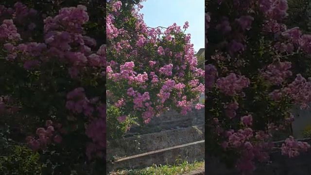 Кругом красота. Кругом позитив смотреть онлайн
