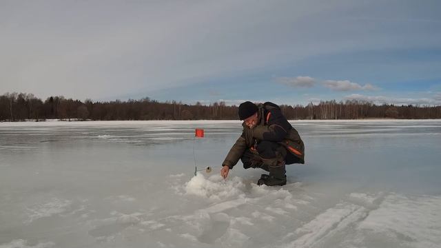 Классная рыбалка по последнему льду на жерлицы за зубастой щукой. смотреть онлайн