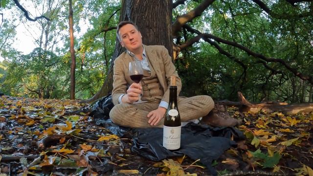 Antonin Guyon Gevrey Chambertin La Justice 2017 (Half Bottle) смотреть онлайн