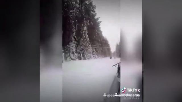 коротенькое прошлогодние видео,поездка на охоту.две мотособаки, росомаха, и мой буран)