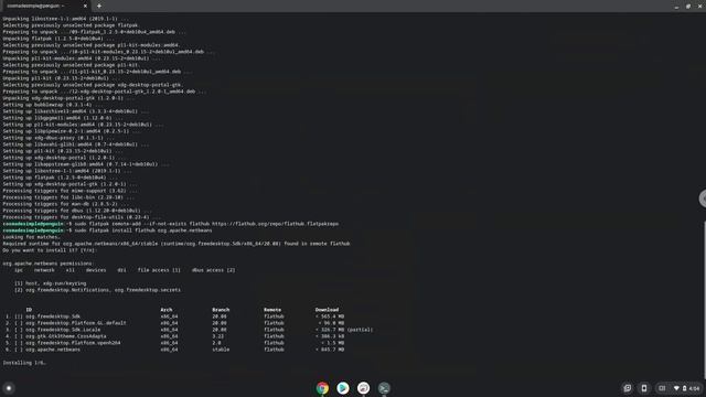 How to install Netbeans on a Chromebook in 2021 смотреть онлайн