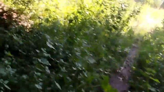 Рыбалка на реке Ольховая и Пизина балка, что за... смотреть онлайн
