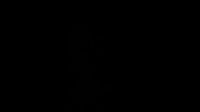 Ninebot z10 смотреть онлайн