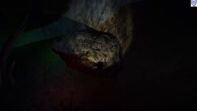 Lifeless planet 08 - Блуждаем во тьме смотреть онлайн
