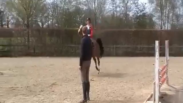 8y Farina SOLD to FRANCE (F. Acide) www.stalgeerink.com смотреть онлайн