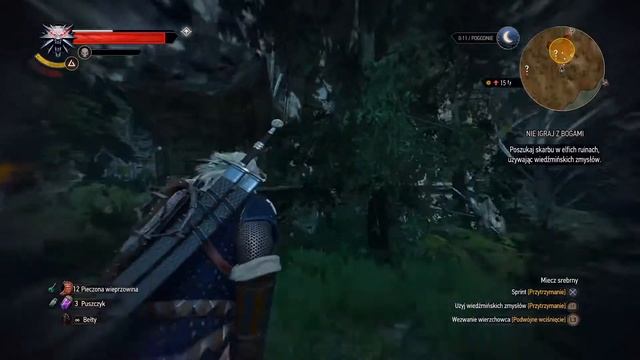 WIEDŹMIN 3 - Zadanie poboczne "Nie Igraj z Bogami" смотреть онлайн