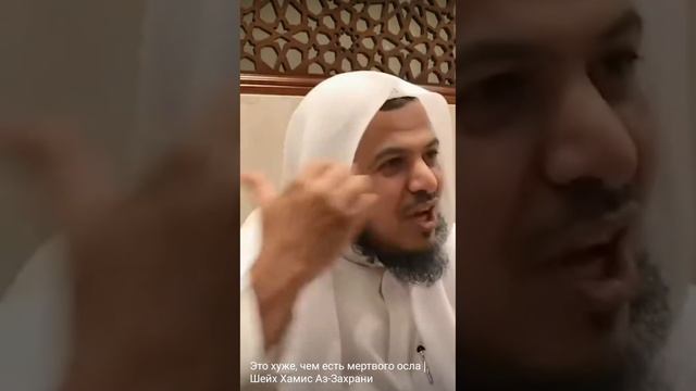 Не следите друг за другом и не злословьте за спиной друг друга.49:12  #коран #напаминаниеверующим смотреть онлайн
