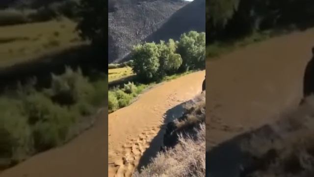 Река Калжир ВКО 2021 год смотреть онлайн