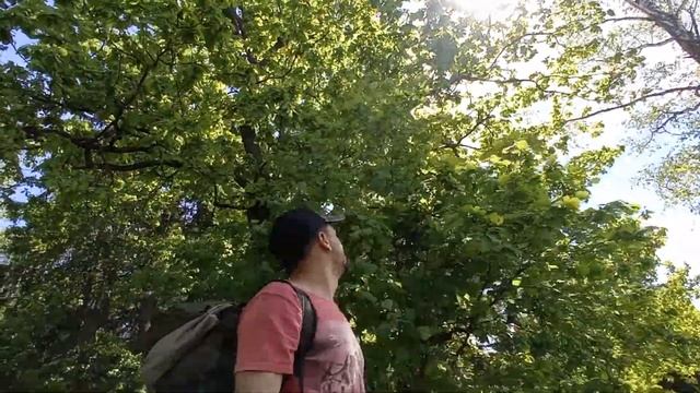 Истринское водохранилище. ПВД. Обзор горелок. смотреть онлайн