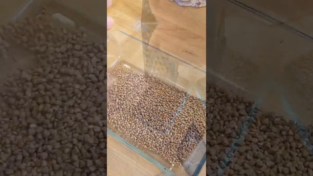 Легкие и вкусные блюда