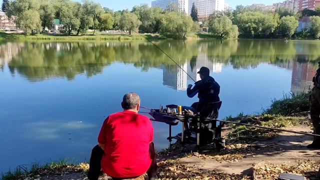 10.08.23 КРХ Белая Дача ,Основной водоём,карп на куку!Завтра11.08. зарыбление карпом ВИП и ОСНОВНОЙ смотреть онлайн