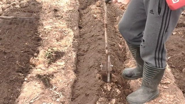 (23)Сажаем картошку,сеем кормовую свёклу. смотреть онлайн