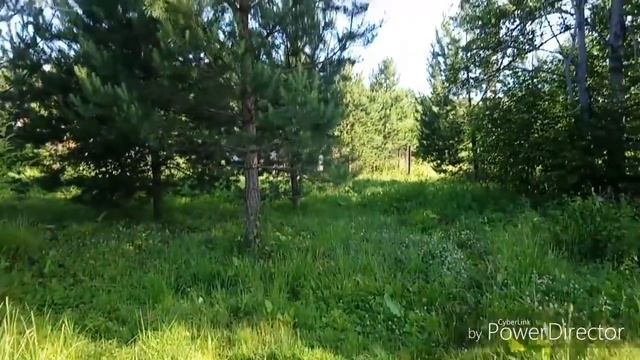 ПРОФИЛАКТИКА ОТ КАНДИДОЗА ДОМАШНЕЙ ПТИЦЫ/НАШИ ДЕТИ смотреть онлайн