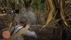 ► RDR2 - Ямкоголовая гадюка - ГУАРМА - 4K RTX 3080Ti [ULTRA]